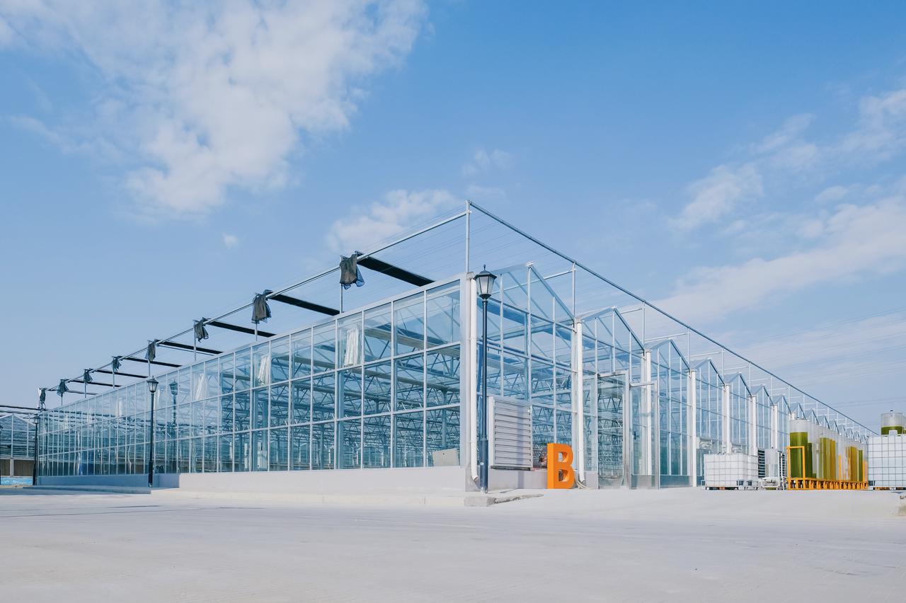 Hetchyn glass greenhouse interior